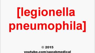 Pronounce Legionella pneumophila  SpeakMedical [upl. by Ecneps]