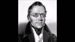 Carl Czerny Variations on Bellinis La Sonnambula Op333 no2 Vivien Harvey Slater piano [upl. by Ahtenek507]