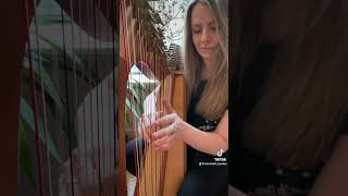 “Castletown Connor’s” arr Ciorstaidh Beaton Irish Jig harp trad irishmusic harpist Scotland [upl. by Granoff414]