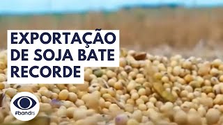 Exportação de soja bate recorde [upl. by Maillw80]