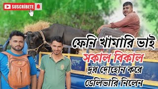 ০১১০২০২৪। সকাল বিকাল দুধ দোহোন করে নিলেন রবিউল ভাইয়ের কাছে ফেনী খামারি ভাই। How to cow bd farming [upl. by Fransis]