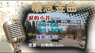 淚的小花추억의그림자 附KTV歌詞青山演唱懷念金曲欣賞 [upl. by Sophie271]