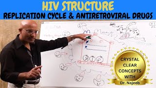 HIV AIDS  Sign Symptoms Transmission amp Treatment  Dr Najeeb🩺 [upl. by Locin259]