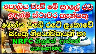 How do you open a NRFC account in Sri Lanka amp Sri Lankan Bank agents contact numbers in Abroad [upl. by Ellerad]