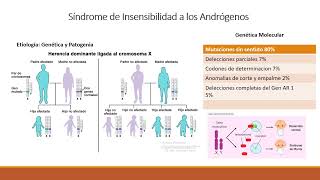 Síndrome de Insensibilidad a los Andrógenos Catedra de Genética [upl. by Eblehs704]