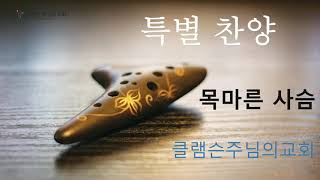 오카리나 두 달 배우고 연주하면 이런 일이 목마른 사슴  클렘슨 주님의 교회 찬양 [upl. by Anul]