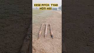 KESE PITCH TYAR HOTI HAI cricketshorts cricket trendingshorts youtubeshorts [upl. by Ramsdell241]