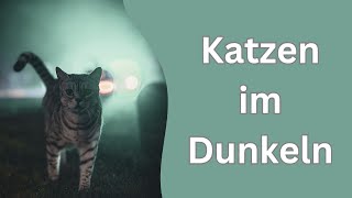 Warum Katzen keine Glöckchen tragen dürfen [upl. by Ellener558]