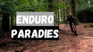 Auf ENDURO MTB Entdeckungstour in HEIDELBERG  Propain Tyee  2024 [upl. by Whiffen]