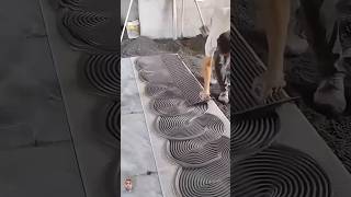 How to Tiles Floor  design shotrs tilesdesign youtubetopvideo 👌 [upl. by Lissak]