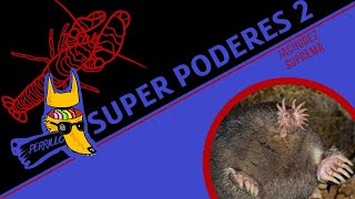 Animales con Super Poderes 2 Tokyo Drifting  Ep 55  CULTURA COLMILLUDA [upl. by Gittle]