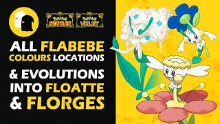 All FLABEBE COLOURS Locations amp Evolutions Into FLOATTE amp FLORGES Pokemon Scarlet and Violet [upl. by Hauge913]