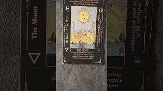 Ophiuchus October 5 2025 Daily Tarot Card [upl. by Merrel284]