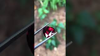 Red Garnet Gemstones sri Lanka Heart Shape gemstone jewellery love sapphiregemstone [upl. by Nhojleahcim]