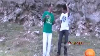 Wendwosen Mekonnen  Beshenena New Oromo Music 2013 [upl. by Kirimia591]