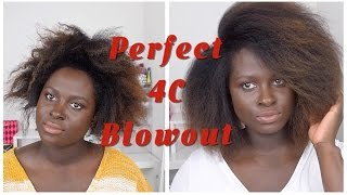 NATURAL HAIR BLOWOUT TIPS amp DETANGLING TRICKS  OHEMAA BONSU 3 [upl. by Idolla615]