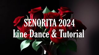 SENORITA 2024  Line Dance DanceampCount [upl. by Appledorf]