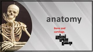 Bone and CartilageAnatomy L2 [upl. by Frankel]