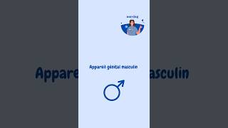 Appareil génital masculin explore paramedical medicalstudent تمريض nursing fyp viralvideo [upl. by Pownall138]