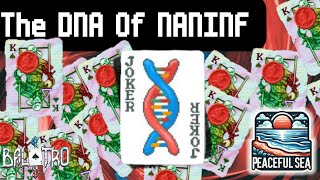 The DNA For a NANINF Run [upl. by Ajnek]