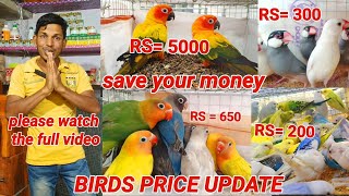 Cheapest price Birds market And Jamiya Bird farm Birds OVER PRICE  BIRDS PRICE UPDATE [upl. by Oilejor68]