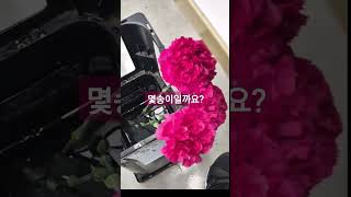 전부 몇송이 카네이션 한단20송이 carnation 꽃꽂이 カーネーション 꽃꽂이 취미생활 플라워리스 florist [upl. by Alegnaoj]