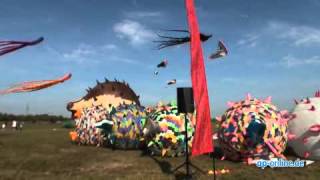 Fliegende Fische beim Drachenfest 2011 [upl. by Mabel912]