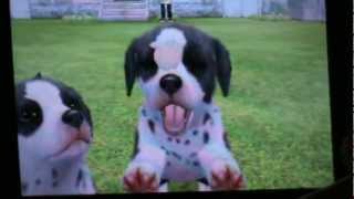 nintendogs  cats special race les dalmatiens [upl. by Ordnael]