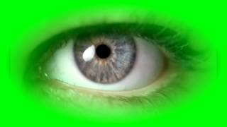 Beautiful Eye Green Screen 👁  Blinking Eyes Green Screen [upl. by Ailedo794]