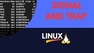 Linux Signals and Trap command bashscripting bashshell linux bash shellscripting [upl. by Ardnassela]