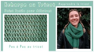 Faire une Echarpe au Tricot Niveau Débutant 🧶DIY  Tuto Pas à Pas [upl. by Diskson]