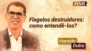 Flagelos destruidores como entendêlos com Haroldo Dutra Dias [upl. by Etteuqram]