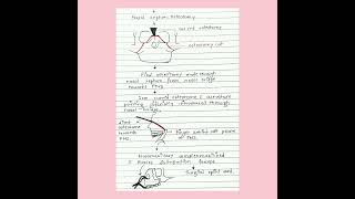 LeFort 2 Osteotomy NOTES [upl. by Niatsirk978]