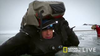 National Geographic Live  202425 Season Live at Roy Thomson Hall [upl. by Hiltan]