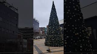 Waterloo place Christmas tree already [upl. by Kathye]