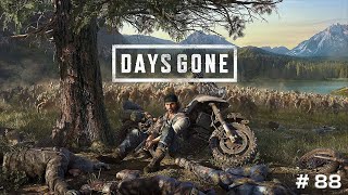 Days Gone  Lets Play en Español  Capitulo 88 [upl. by Aramas]