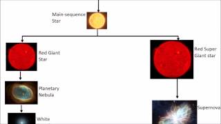 Life Cycle of a Star  GCSE Science  Physics  Get To Know Science [upl. by Joelle]