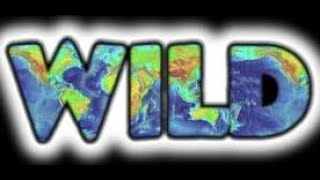 WILD Ministries [upl. by Lettig]