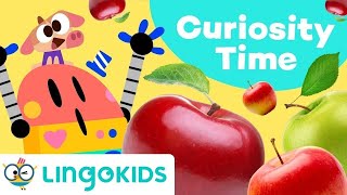 WHERE DO APPLES COME FROM 🍏🍎 Educational Video for Kids  Lingokids [upl. by Adanama527]