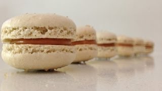 Salted Caramel Macaron Recipe HOW TO Cook That Ann Reardon [upl. by Akselav214]