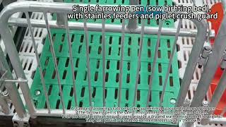 Single farrowing pen sow birhting bed with stainles feeders and piglet crush guard [upl. by Eilraep]