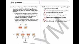 2018 TYT BİYOLOJİ SORU ÇÖZÜMLERİ [upl. by Nilyarg]
