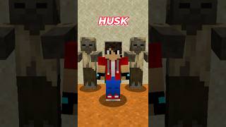 ⛏️⚒️ 5 COSAS que NO SABÍAS del HUSK en MINECRAFT 🧟 shorts [upl. by Suivatnom]