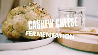 How to make VEGAN CHEESE Cashew cheese fermentation and flavouring Video 1 [upl. by Appleby]