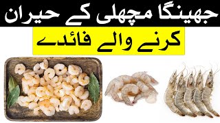 Jhinga Fish ke fayde  Prawn Fish  Shrimp fish  Mehrban Ali  jhinga machli [upl. by Alamap935]