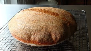 Sourdough Bread  Part 1 The Starter [upl. by Kiki]