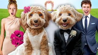 My DOG got MARRIED In Real Life [upl. by Ahsein]