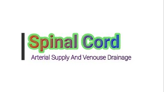 Blood Supply Of Spinal Cord  Arterial Blood Supply And Venous Drainage  Medico Star [upl. by Ciapha11]