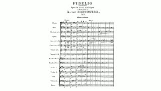 Beethoven Fidelio Op 72 with Score [upl. by Nayve]