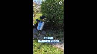 The Owner was Speechless His Overgrown Garden on YouTube [upl. by Mond]